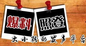 顶呱呱最新爆料新闻,最新爆料新闻背后的惊人真相